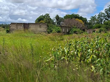 Farm & Agricultural Land