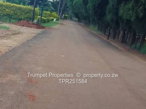 Leafy 3000m² Glen Lorne Stand — Tarred Road, Subdividable