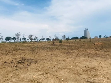 Commercial & Industrial Land