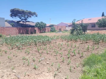 Stands & Residential Land