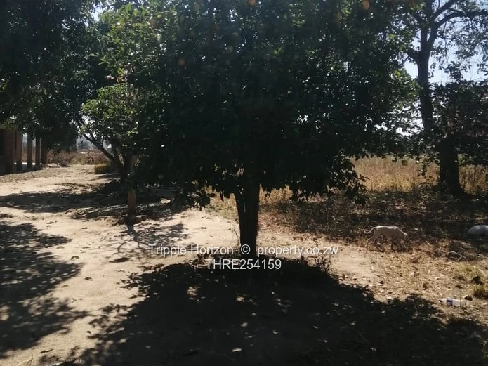 Karoi plot for sale