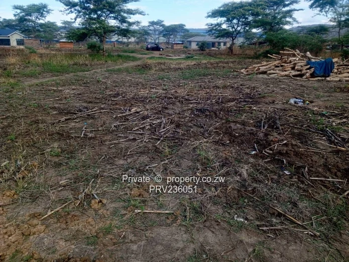 Stand for Sale in Knockmallock Norton $17k