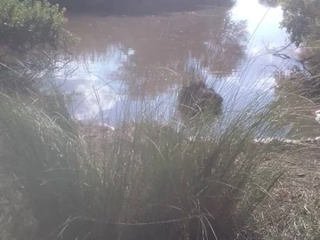 Farm & Agricultural Land