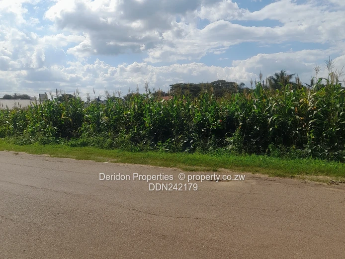 Build your dream home 