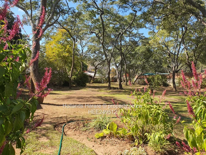 Neat property in great location