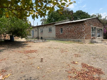 Farm & Agricultural Land