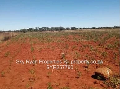 Igava Agricultural Plots – Marondera