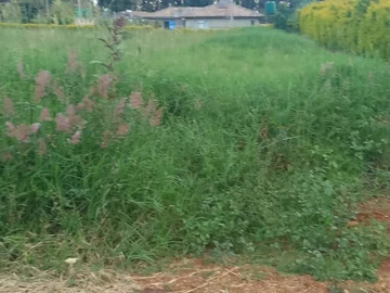 Farm & Agricultural Land