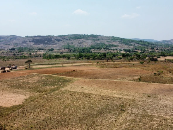 Farm & Agricultural Land
