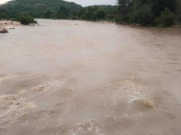 Farm & Agricultural Land