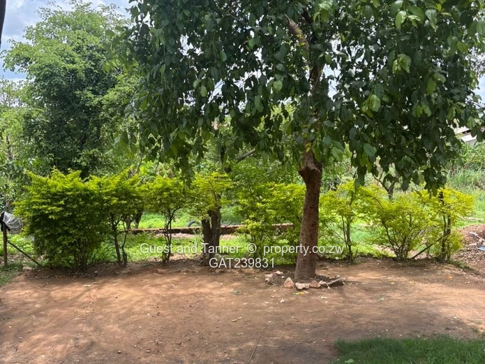 Ruvimbo Township Property for Sale on 600sqm with Excellent Renovation and Development Potential