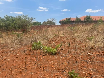Stands & Residential Land