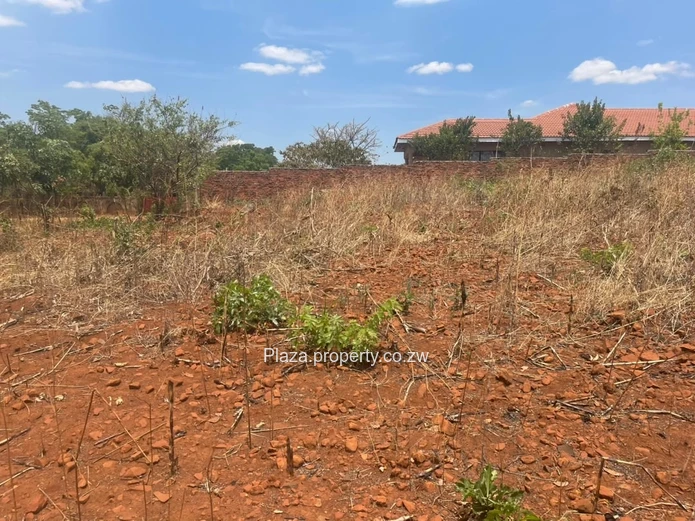 Stand For Sale – Norton, Knowe Phase 1
