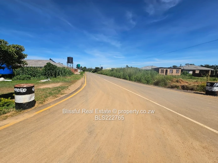 Stands!! Stands!! Stands!!