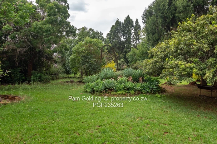 House For Sale in Marlborough (Sole Mandate)