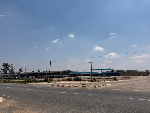 Stands & Residential Land