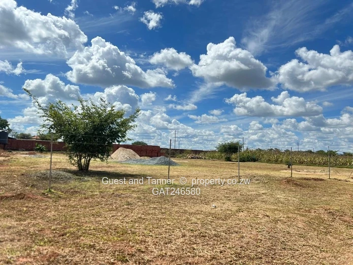 Low and High Density Stands for Sale 