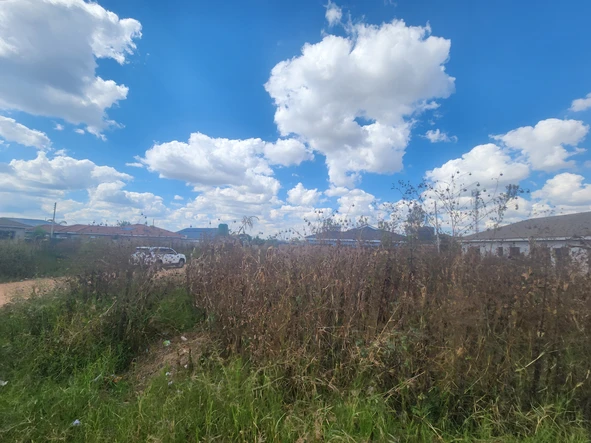 Stands & Residential Land