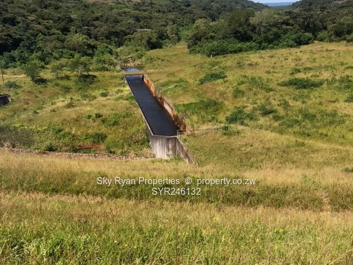 Bangazani Estate, Chipinge