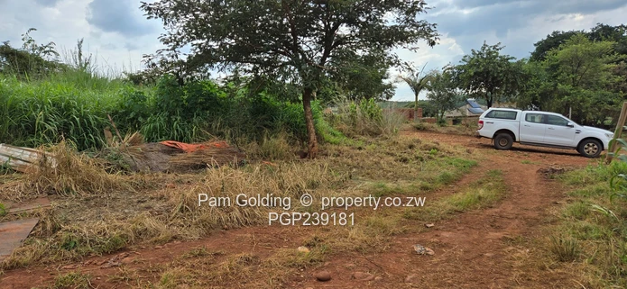 Spacious residential stand near the gold