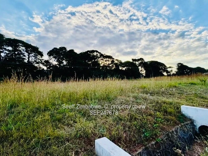 Pomona City Stand- Ready to build (Sole Mandate)