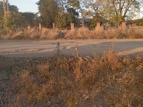 Stands & Residential Land