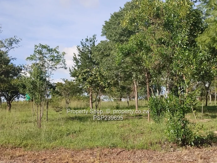 Residential Stand For Sale - Ruwa Country Club Golf Estate