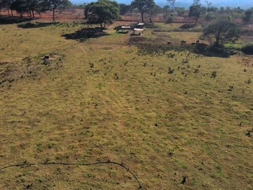 Farm & Agricultural Land