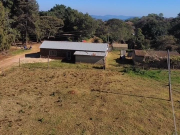 Farm & Agricultural Land