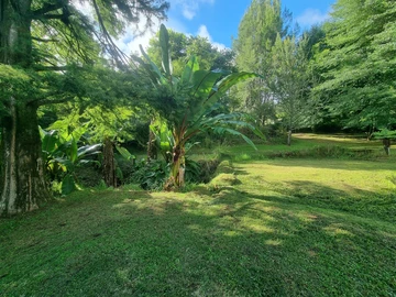 Farm & Agricultural Land