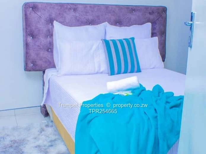 Fully Furnished Lodge in Binga — Modern Kitchen & Courtyard