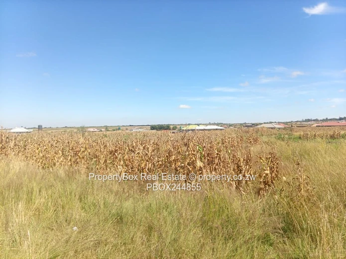 Vacant Stand for Sale in Hatfield Estate