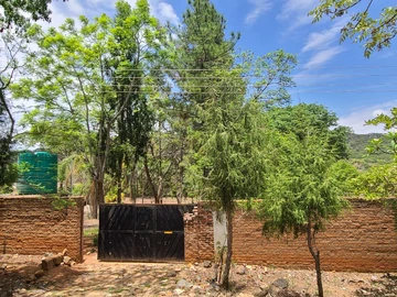 Farm & Agricultural Land