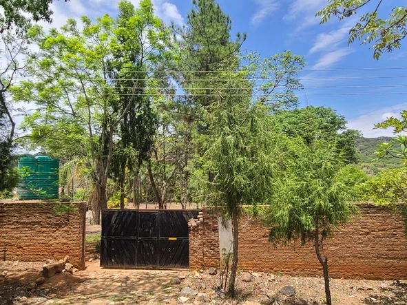 Farm & Agricultural Land