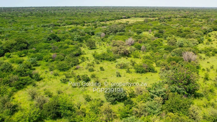 Nyamandlovu 1026 farm for sale