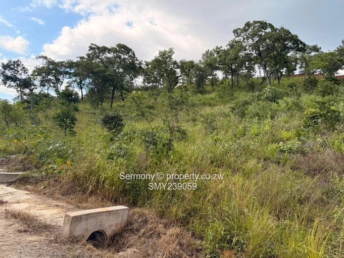 Prime Carrick Creagh Estate Stands For sale