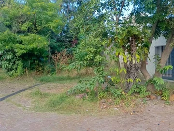 2 Bedroom Flat & Apartment