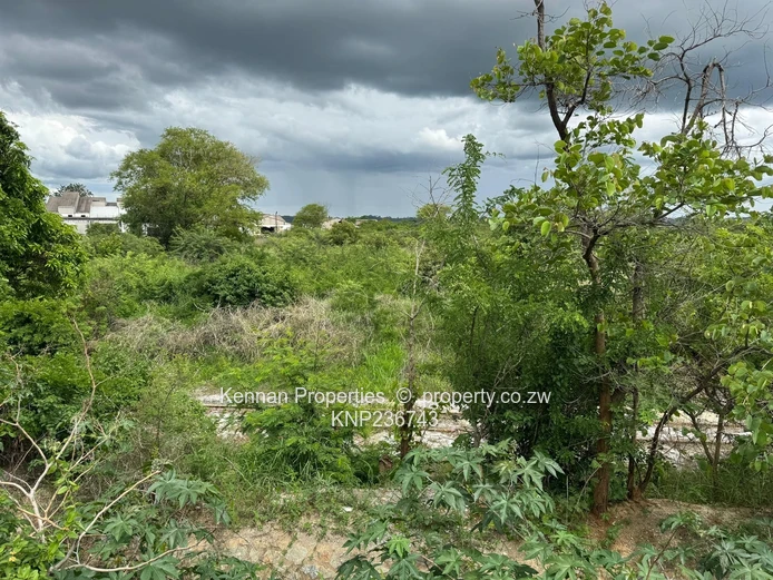 Beautiful Land for Sale in Kadoma 206 497 square metres