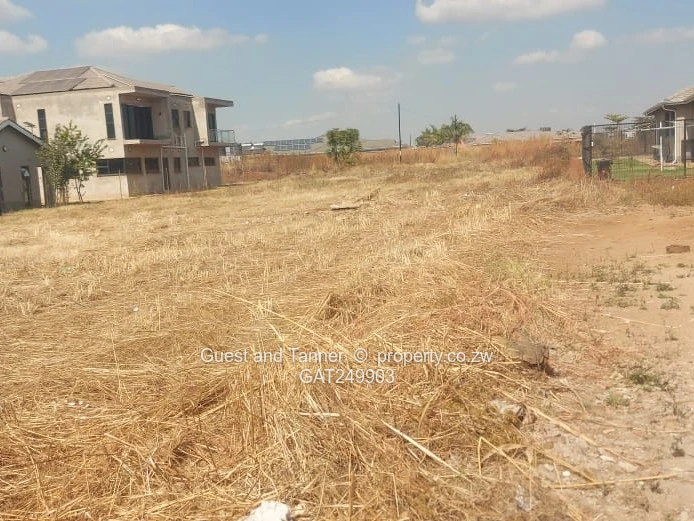 Fairview Residential Stand for Sale
