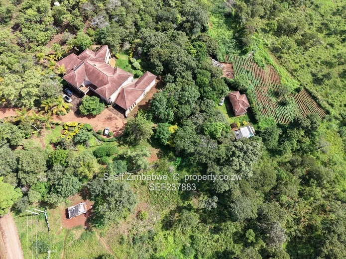 Exclusive 4000 sqm Panhandle Stand #2 for Sale in Shawasha