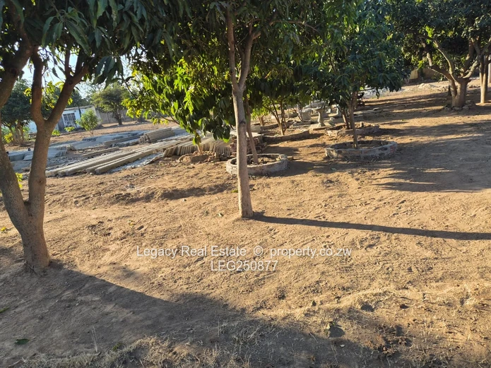 3-Bed Prospect Home on 2000m² — Borehole & Trees