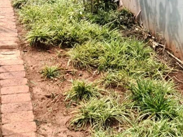 2 Bedroom Garden Flat