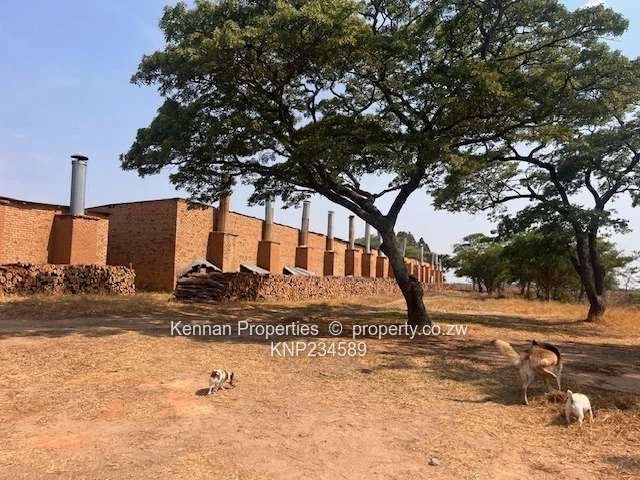 New Farm Listing - Bromley 