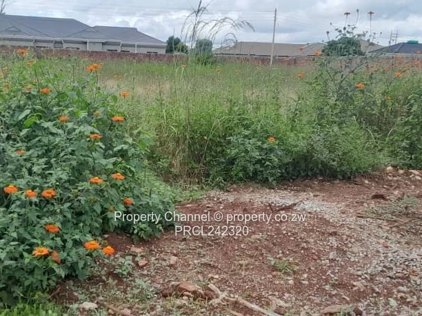 Serviced Upmarket Stand – Walled 2 Sides