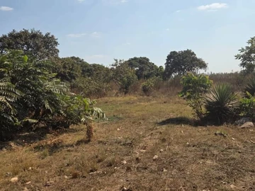 Land