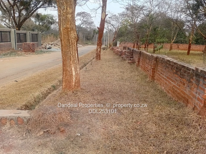 2000m² Carrick Creagh Stand — Main Road Frontage, Tarred Access