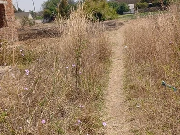 Land