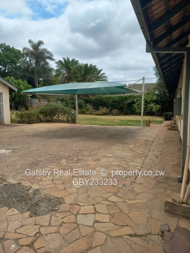 Available 1st of December  (Sole Mandate)