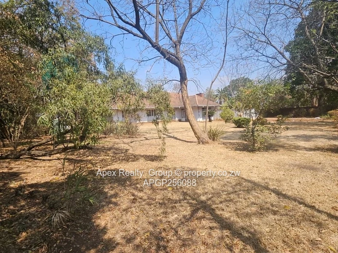 Belgravia Main Road Property For Sale