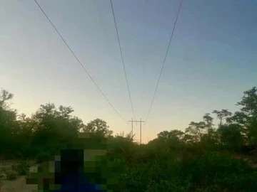 Farm & Agricultural Land